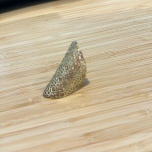 Kendra Scott ring - gold adjustable